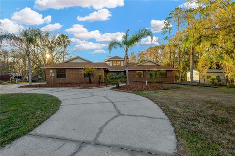 A home in LAND O LAKES