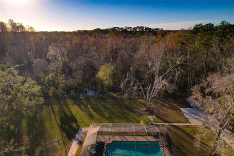 A home in LAND O LAKES