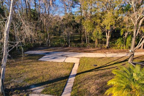 A home in LAND O LAKES