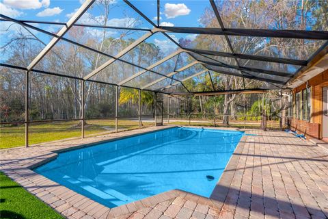 A home in LAND O LAKES