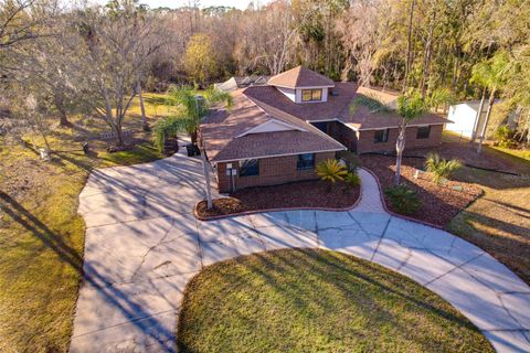 A home in LAND O LAKES