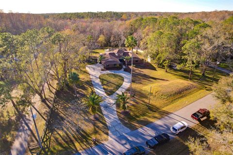 A home in LAND O LAKES