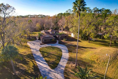 A home in LAND O LAKES