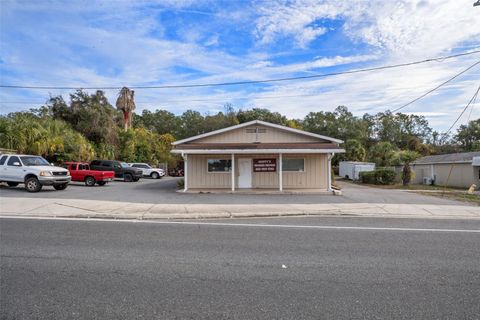 Tiny photo for 3275 S Florida Avenue, Inverness, FL 34450 (MLS # OM715371)