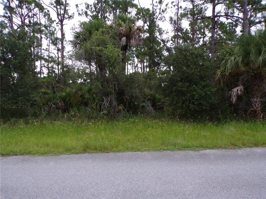 Photo of 14020 Carrie Avenue, Port Charlotte, FL 33953 (MLS # C7514500)