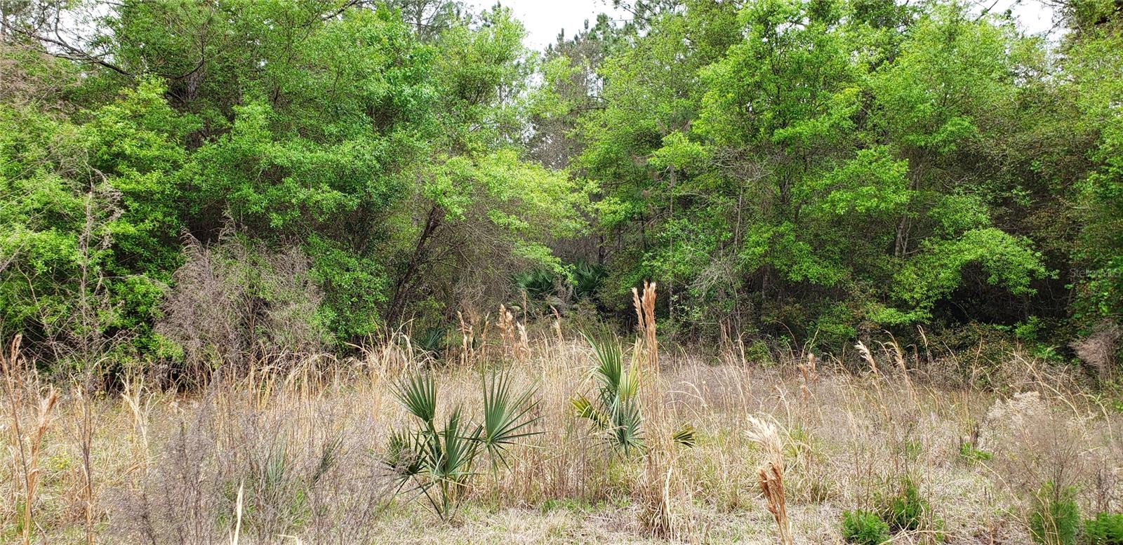 SW COUNTY ROAD 242A