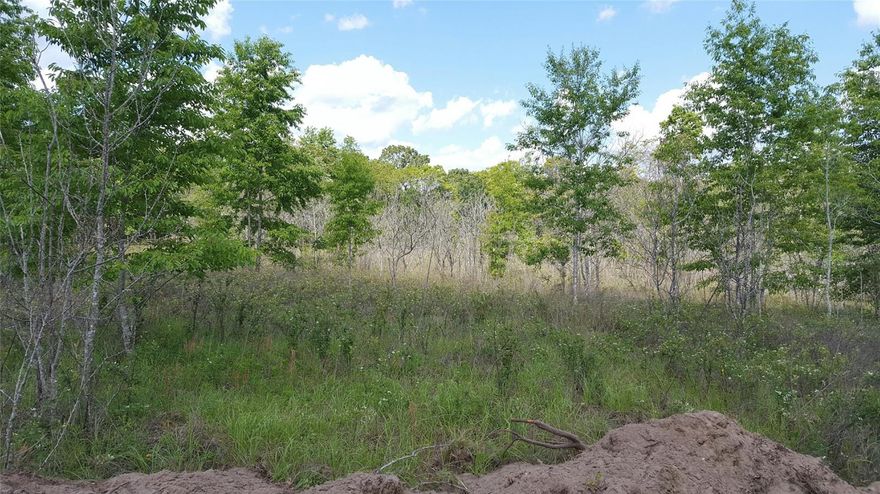10.47-acre parcel (Tax ID # 28-4S-17-08797-009) with road access off Wendy Road and County Road 242A. Perfect for building your new dream home.