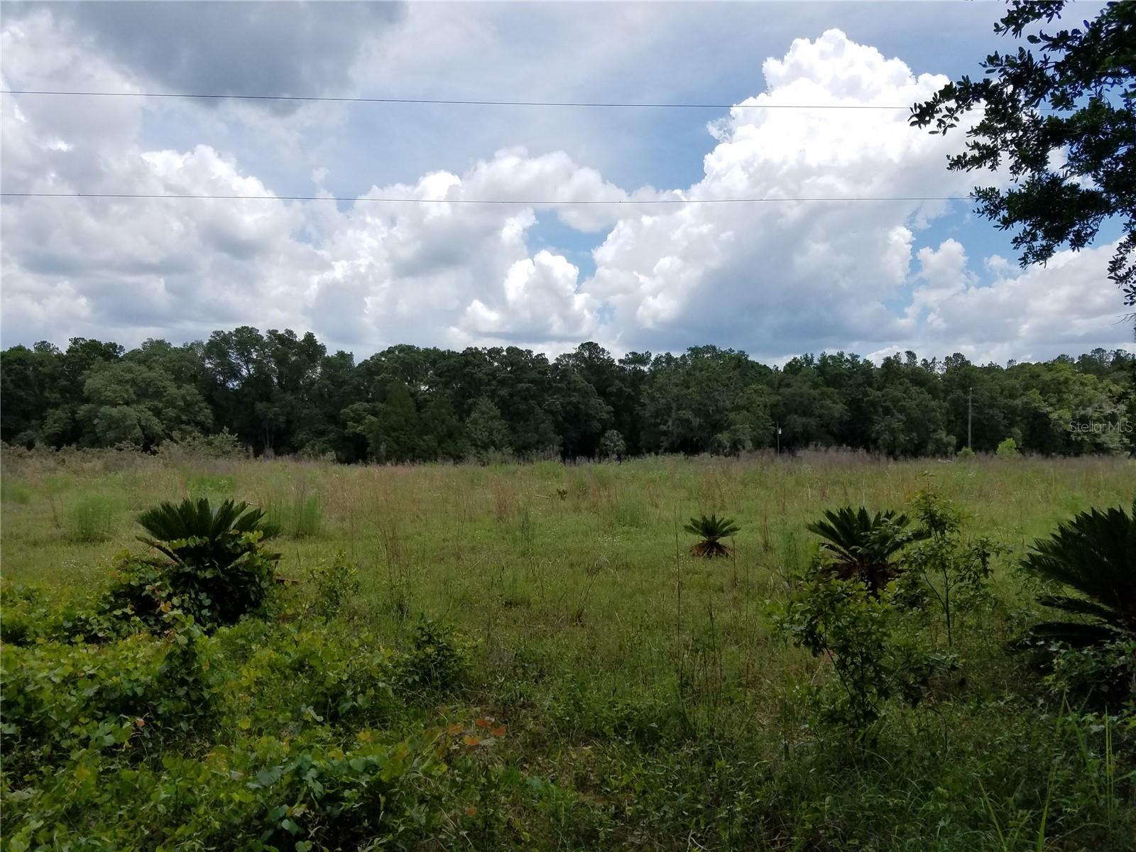 SW COUNTY ROAD 242A