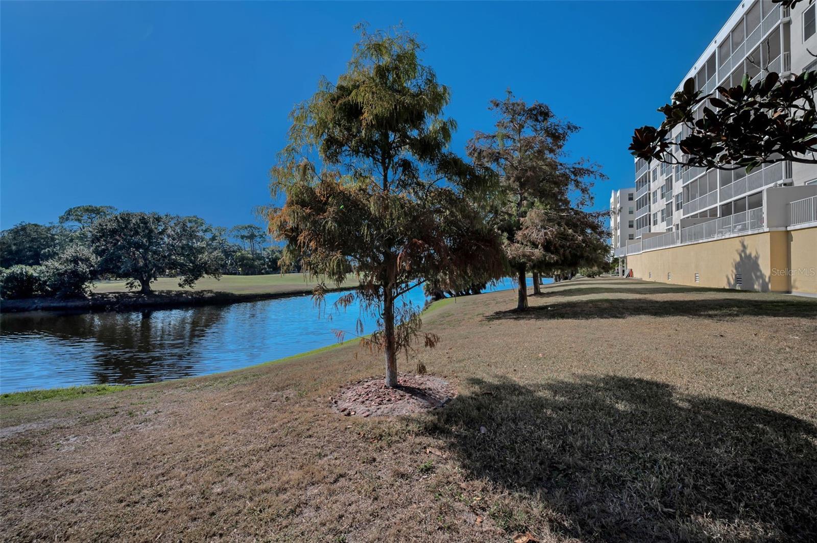 COUNTRY CLUB CONDO AT EAST BAY - Residential