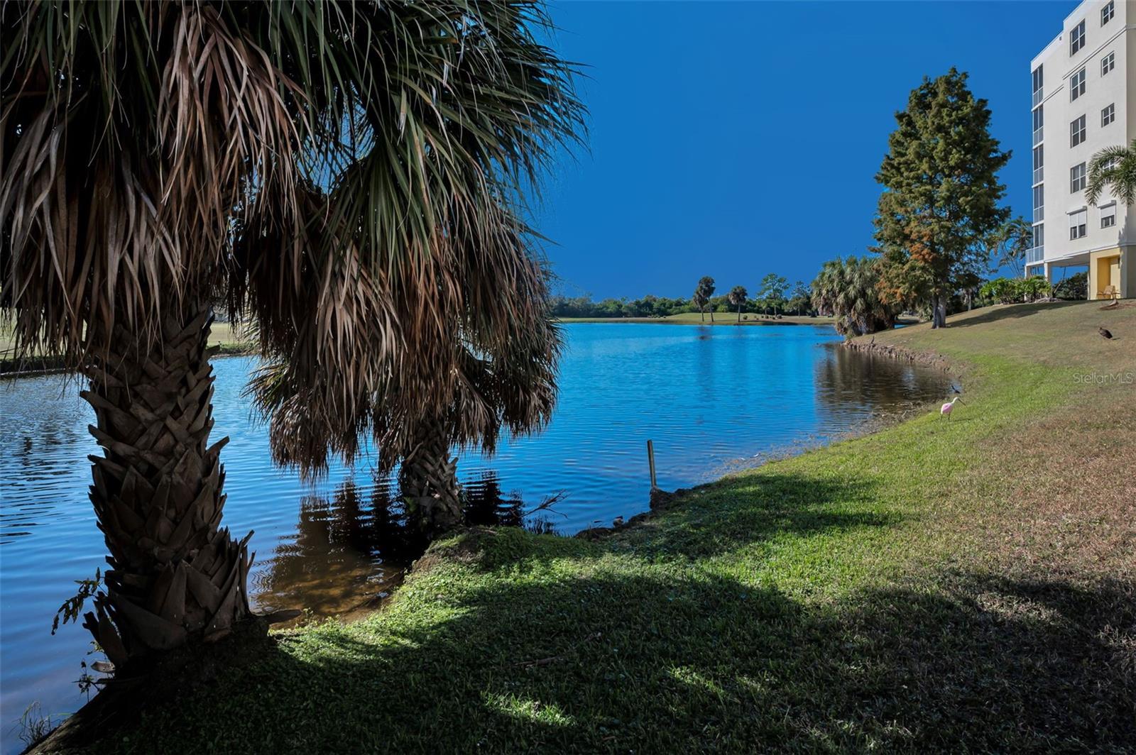 COUNTRY CLUB CONDO AT EAST BAY - Residential