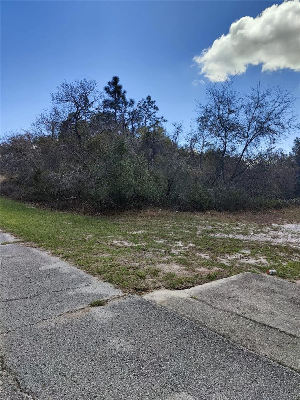 Photo of 408 Vernon Court, Kissimmee, FL 34759 (MLS # S5150086)