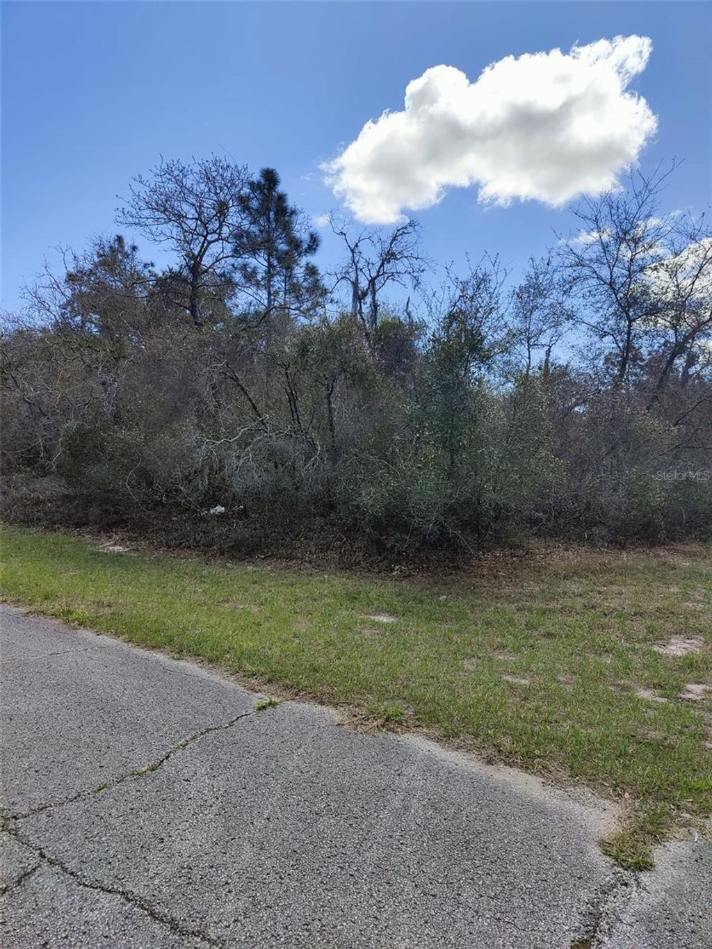 Photo of 408 Vernon Court, Kissimmee, FL 34759 (MLS # S5150086)