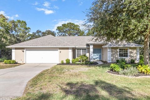 A home in HOMOSASSA