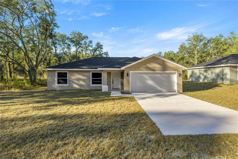 Photo of 11370 SE 123rd Avenue, Dunnellon, FL 34431 (MLS # OM723216)