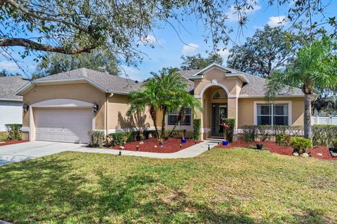 1913 LAZY OAKS LOOP ST CLOUD FL 34771