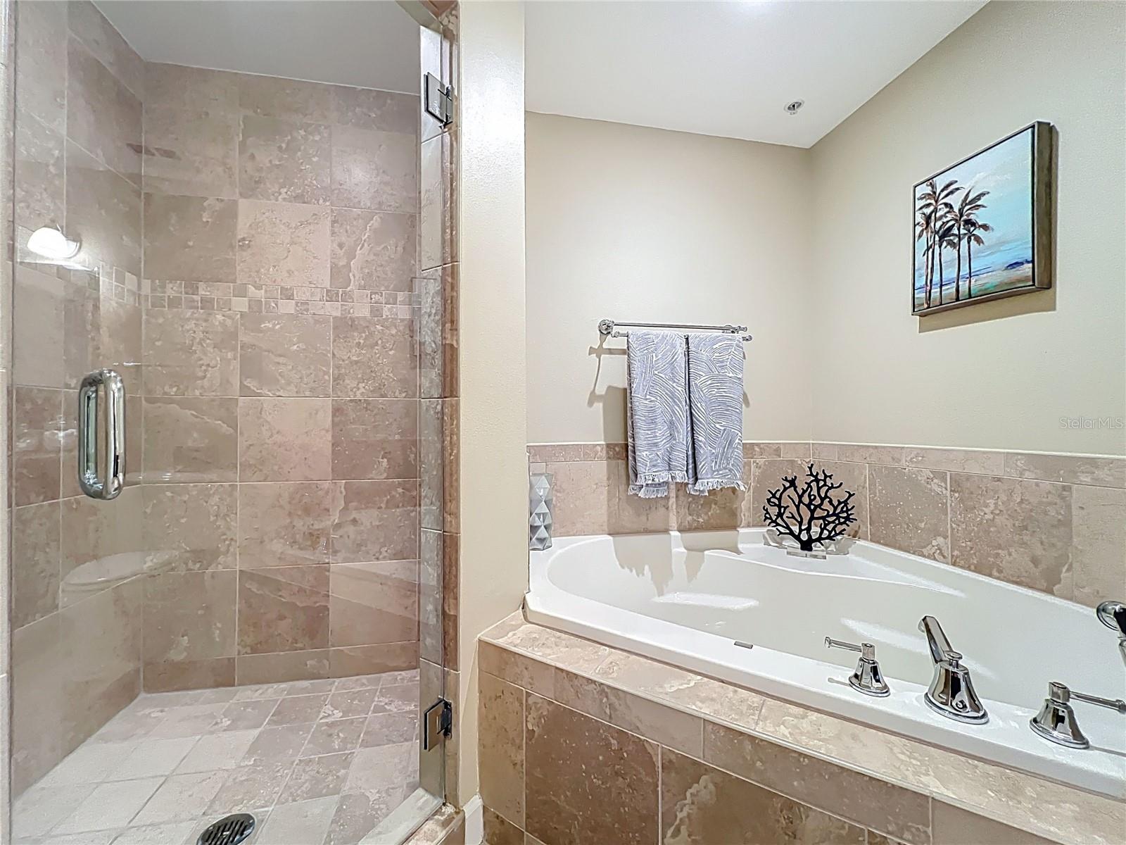 WELLESLEY CONDO - Residential