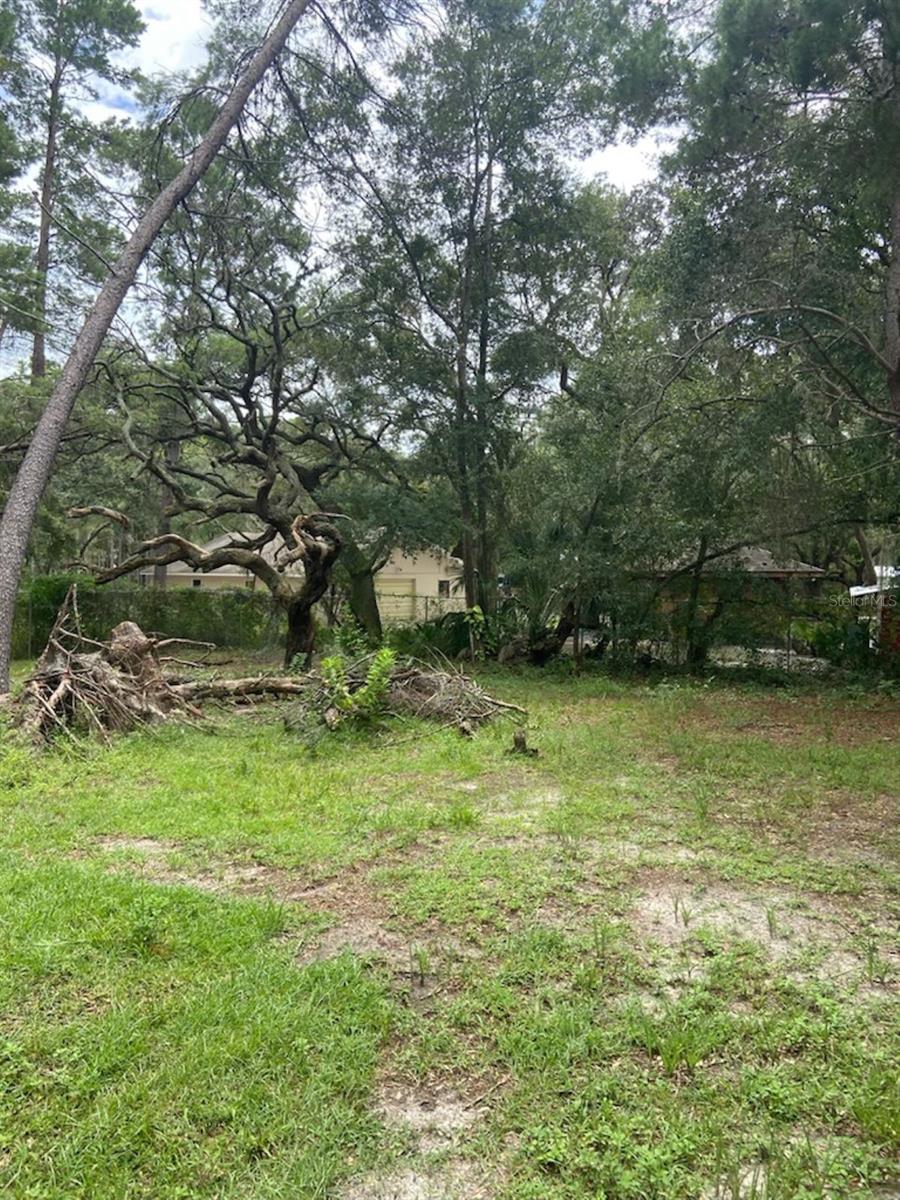 GOLDEN  ACRES - Land