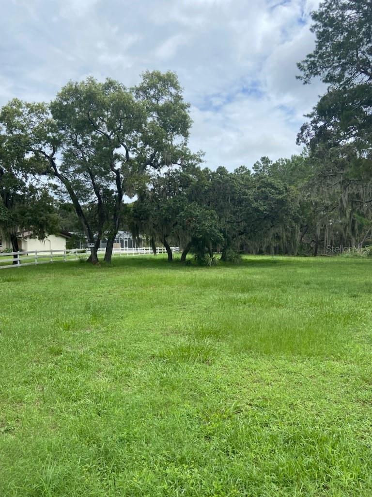 GOLDEN  ACRES - Land