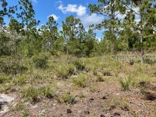 ACREAGE & UNREC - Land