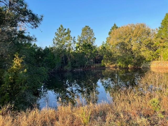 ACREAGE & UNREC - Land