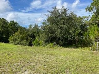 ACREAGE & UNREC - Land