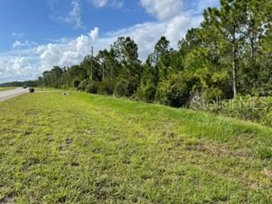NOW AVAILABLE !!
27.5 acres of vacant land with over 830 feet of frontage directly on E Irlo Bronson Highway (US RT.192).  This is a rare opportunity to buy this amount of acreage directly on a busy highway and in a rapidly growing area. Nearby, there are 100's of new homes planned with construction already underway. Currently there are no commercial developments  planned nearby but sooner or later they will be needed.
This property has two natural spring ponds while the majority of the land is cleared and ready for the next project. Wildlife is consistently seen throughout the property. Shopping in St Cloud is a very short drive away while the beach is only 40 minutes away.
Don't wait and then later regret this rare opportunity. This property will not last.