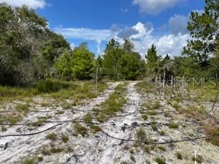 ACREAGE & UNREC - Land