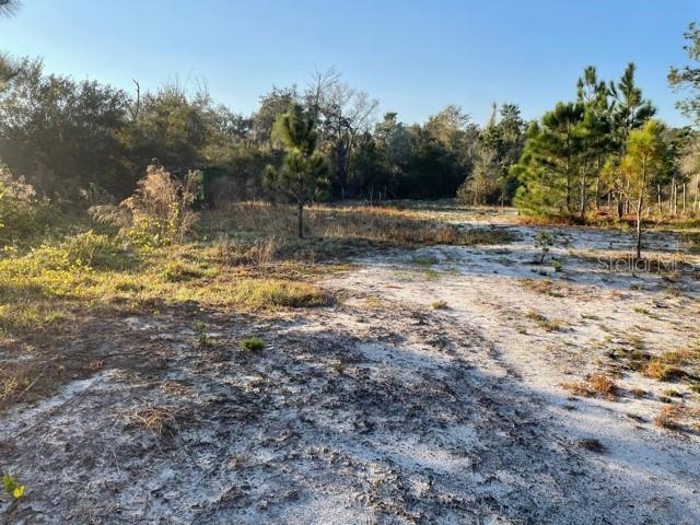 ACREAGE & UNREC - Land