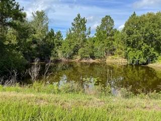 ACREAGE & UNREC - Land