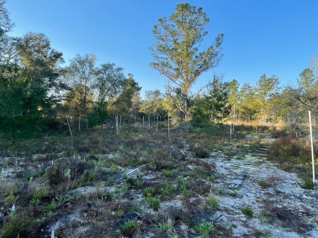 ACREAGE & UNREC - Land