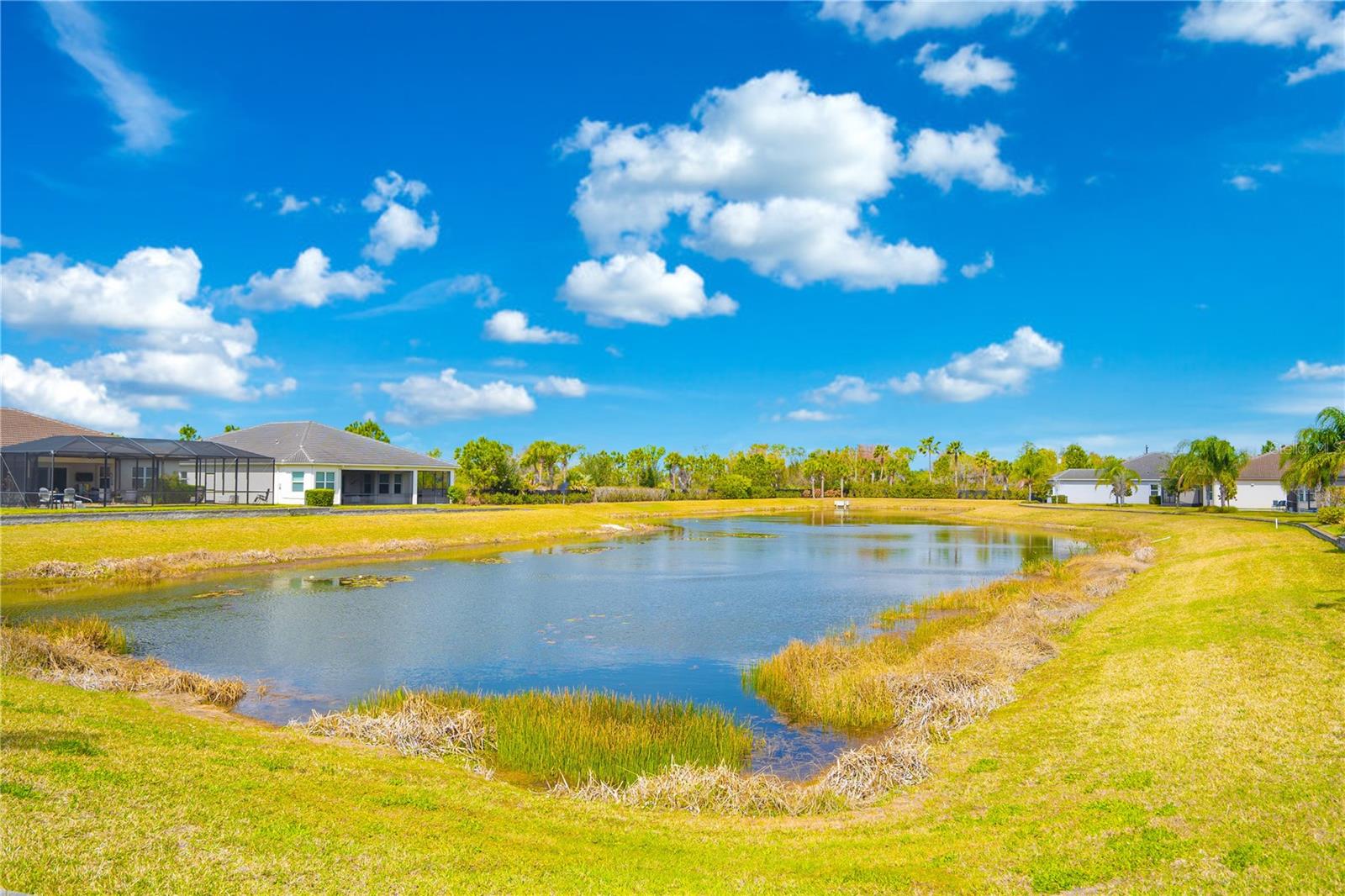 VALENCIA DEL SOL PH 1 - Residential