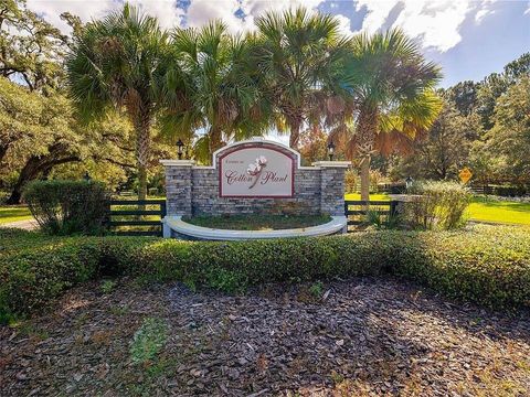 015 SW 144TH COURT ROAD OCALA FL 34481