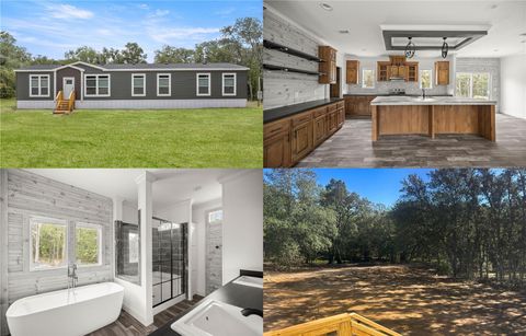 Photo of 12451 NE 82 Place, Bronson, FL 32621 (MLS # OM707423)