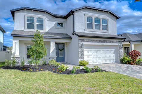 A home in LAND O LAKES