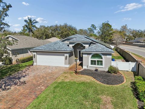 Photo of 3301 Black Gum Court, Tampa, FL 33618 (MLS # TB8479937)