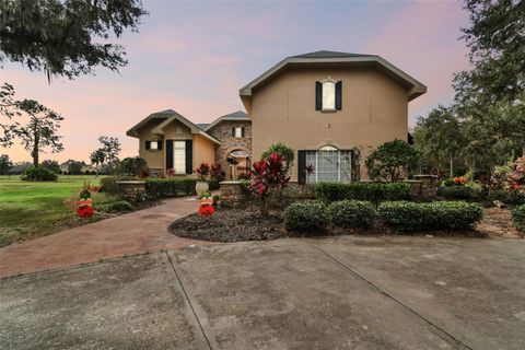 A home in LITHIA