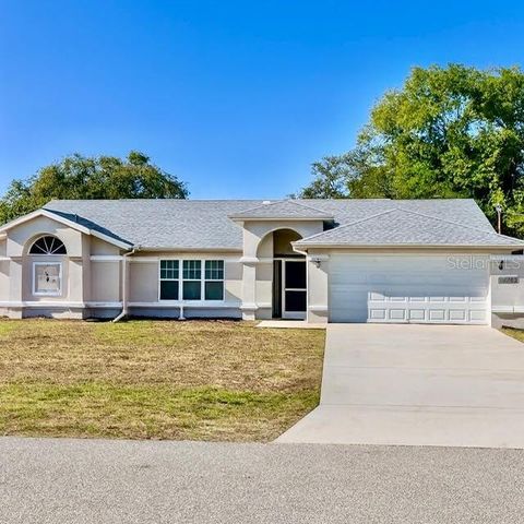 Photo of 11263 Murraysville Drive, Spring Hill, FL 34609 (MLS # TB8501923)