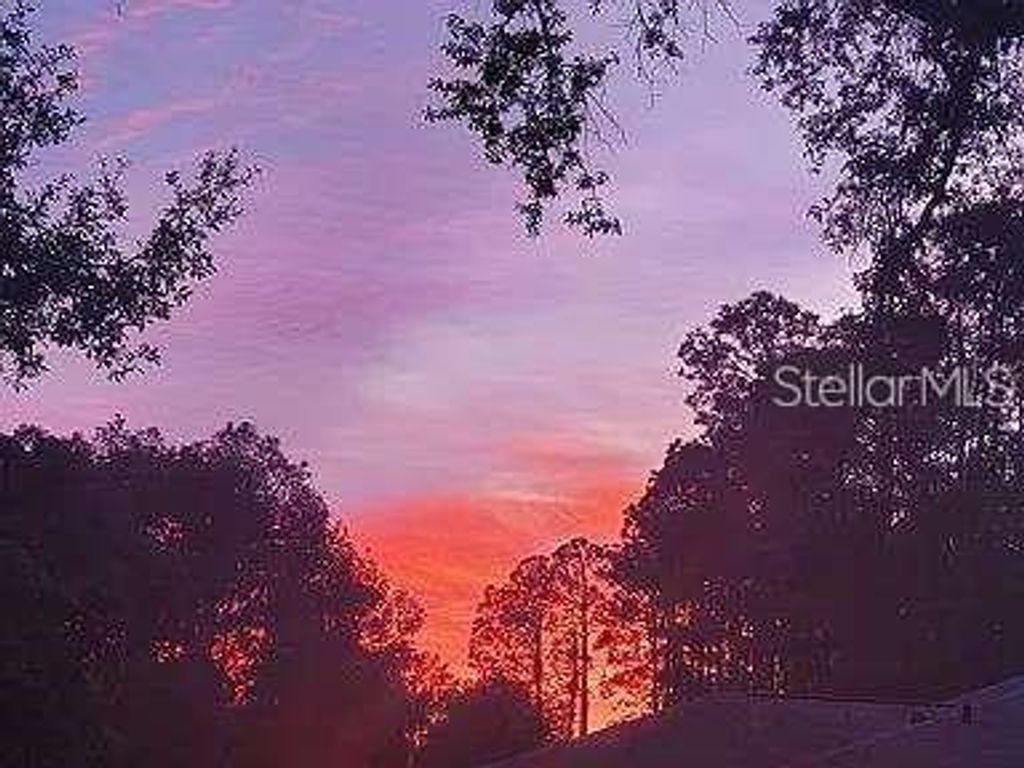 Photo of 10261 Woodland Waters Boulevard, Weeki Wachee, FL 34613 (MLS # W7878741)