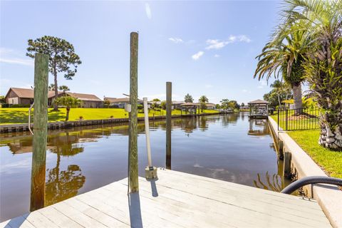 A home in PALM COAST