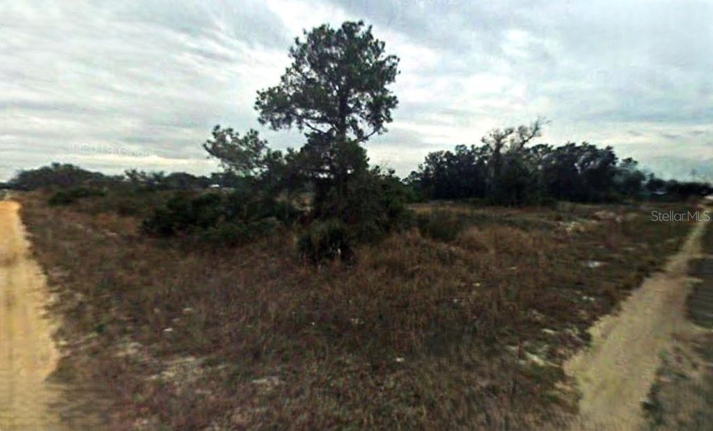 Photo of 2885 W Ingersol Road, Avon Park, FL 33825 (MLS # O6289448)