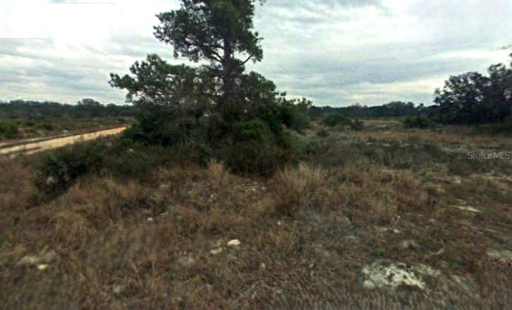 Photo of 2885 W Ingersol Road, Avon Park, FL 33825 (MLS # O6289448)