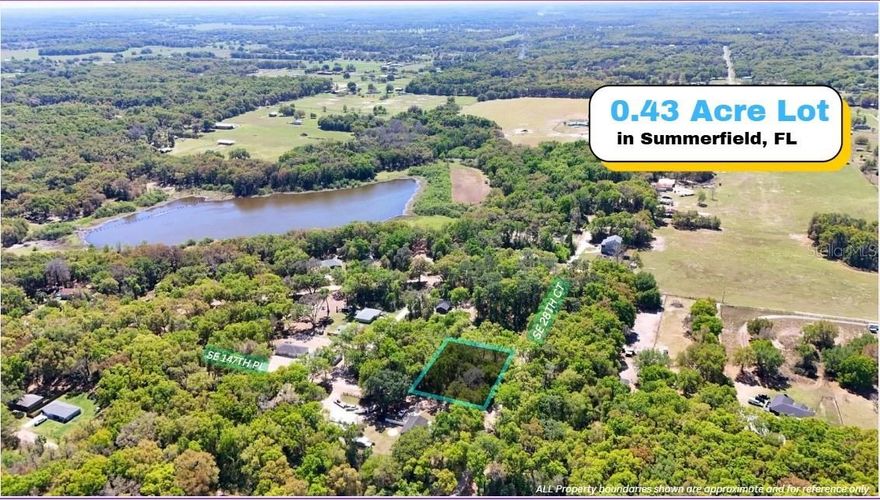 SELLER FINANCING AVAILABLE! 0.43-Acre Double Corner Lot – No HOA – Near Lake & Hwy 484

Build your vision on this 0.43-acre double corner lot in Summerfield, FL, offering added space and flexibility for a variety of residential plans. Power lines are in place (not yet connected), and an environmental survey is available to support your due diligence. No HOA. Located just minutes from SE County Hwy 484 and near Camellia Lake, with convenient access to nearby towns, shopping, and dining.