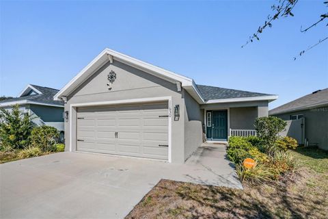 Photo of 11630 Saw Palmetto Lane, Riverview, FL 33569 (MLS # TB8476453)