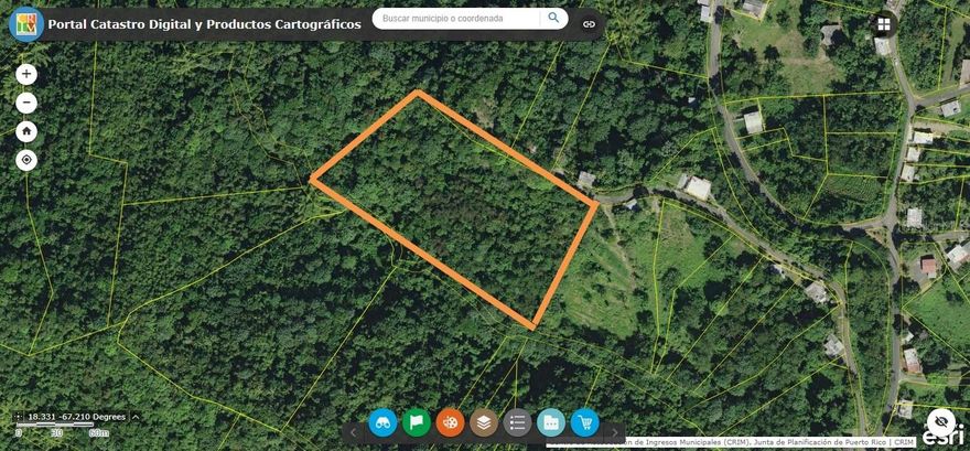 Discover a rare opportunity to own five acres of pristine land nestled in the peaceful mountains of Jagüey, Rincón. This beautiful property offers breathtaking mountain views, refreshing breezes, and a serene natural setting—perfect for those seeking privacy, inspiration, and connection with nature. Mixed terrain with both mountainous and flat areas, the land is home to Royal Palms, turmeric, tropical flowers, and numerous fruit trees - mango, banana, plantain, coco palm, citrus, avocado, and breadfruit. A natural spring and quebradilla (creek) are located at the bottom of the property. Surrounded by lush greenery and scenic landscapes, the land provides endless development potential. Ideal for a private estate, eco-retreat, vacation villas, agricultural project, or sustainable development, this property gives you the freedom to bring your vision to life. The elevated terrain captures stunning vistas of the surrounding mountains, making it an exceptional setting for projects that value beauty, tranquility, and harmony with nature. Coordinates: 18.3309372,-67.2079091