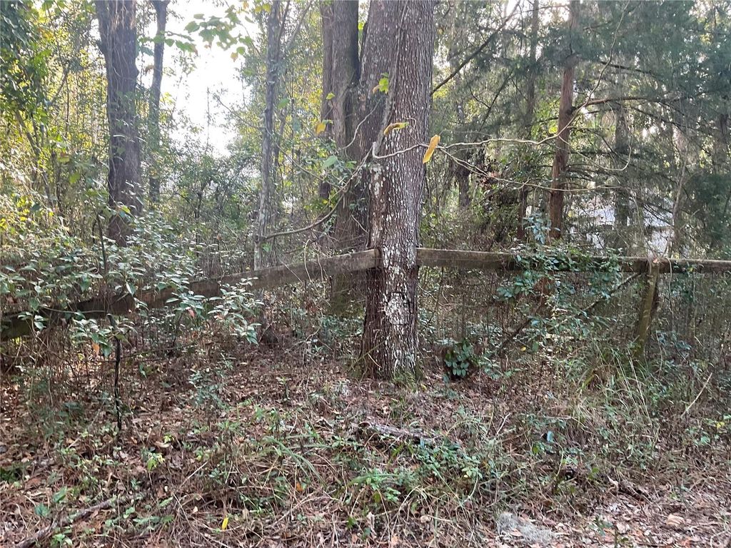 Photo of 2245 NW 63rd Place, Ocala, FL 34475 (MLS # O6367989)