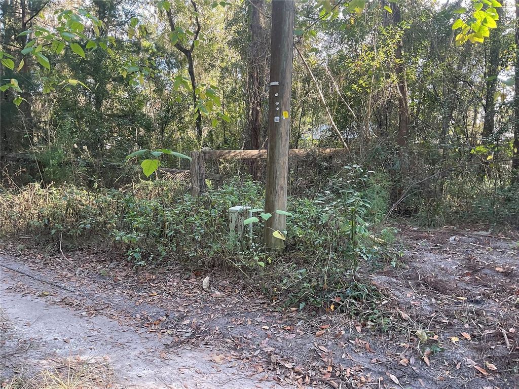 Photo of 2245 NW 63rd Place, Ocala, FL 34475 (MLS # O6367989)