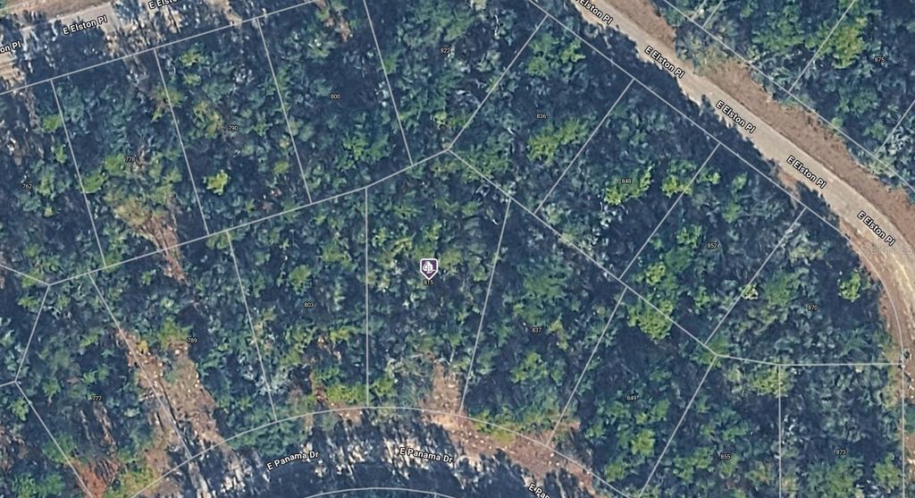 Photo of 815 E Panama Drive, Dunnellon, FL 34434 (MLS # A4678734)