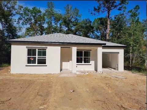 A home in CITRUS SPRINGS