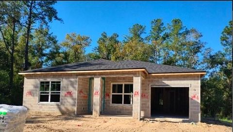 A home in CITRUS SPRINGS