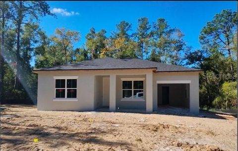 A home in CITRUS SPRINGS